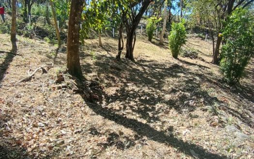 Esparza For Sale 31594 | RE/MAX Costa Rica Real Estate