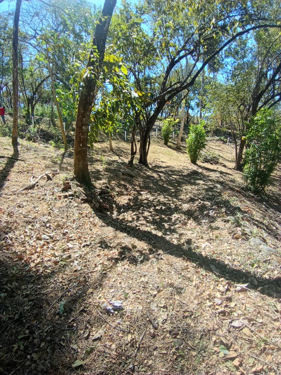 Ocean View Lot for Sale – Quintas Esencia Condominium, Esparza