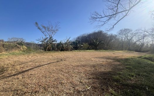 FINCA TARANTELA – Lote 1