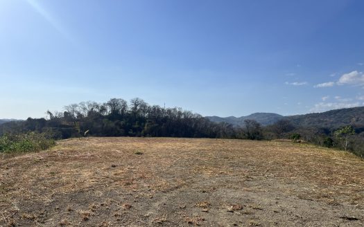 FINCA TARANTELA – Lote 7