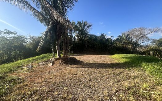 FINCA TARANTELA – Lote 8