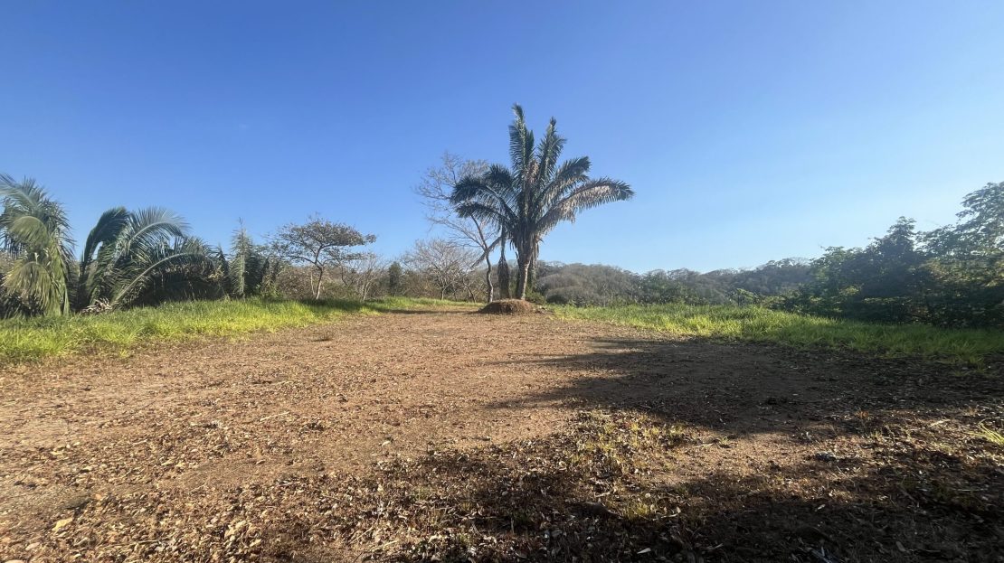 FINCA TARANTELA – Lote 8 Guanacaste | REMAX