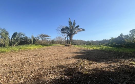 FINCA TARANTELA – Lote 8 Guanacaste | REMAX