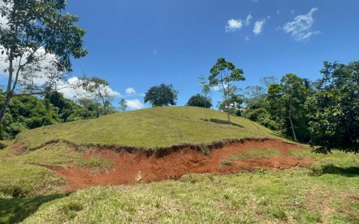 120-Hectare Farm for Sale – San Joaquín de Cutris, San Carlos, Costa Rica
