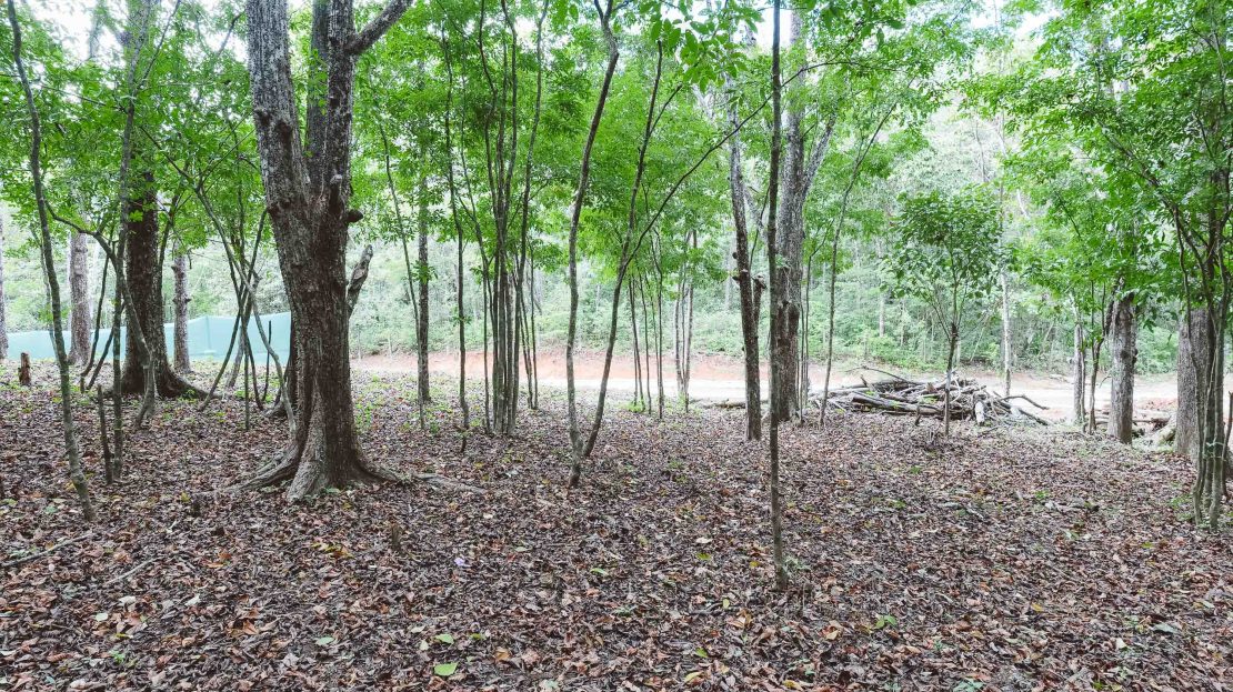 Forest Whisper A16 – Guanavista Guanacaste | REMAX