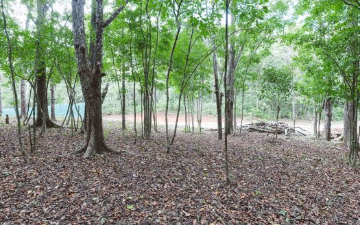 Forest Whisper A16 – Guanavista Guanacaste | REMAX