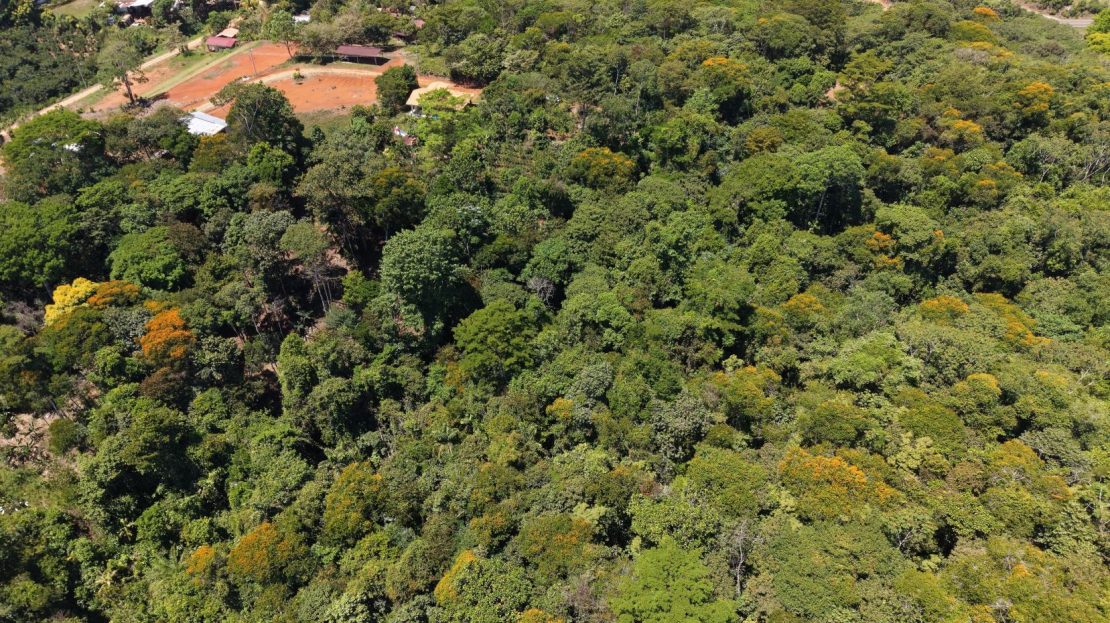 Pérez Zeledón: A Private Forest Retreat.