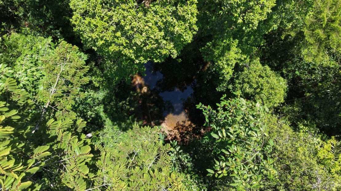 000 m² Lot for Sale with Nature and Tranquility in Cajón