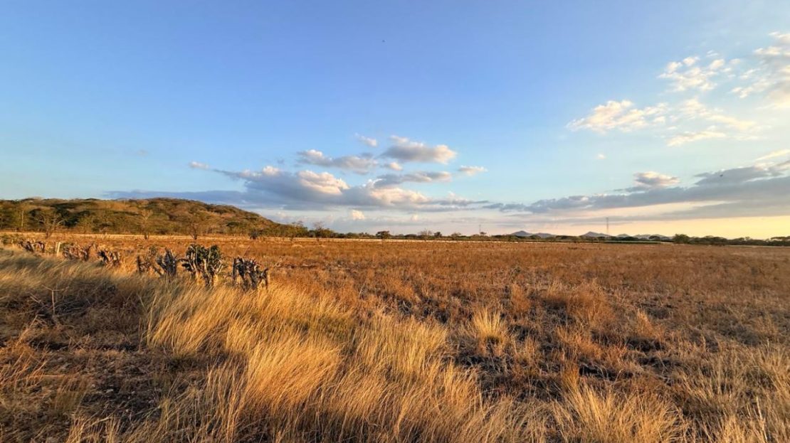 Guanacaste – 8 Hectares