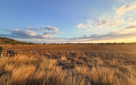 Agricultural Land for Sale in Abangares, Guanacaste – 8 Hectares