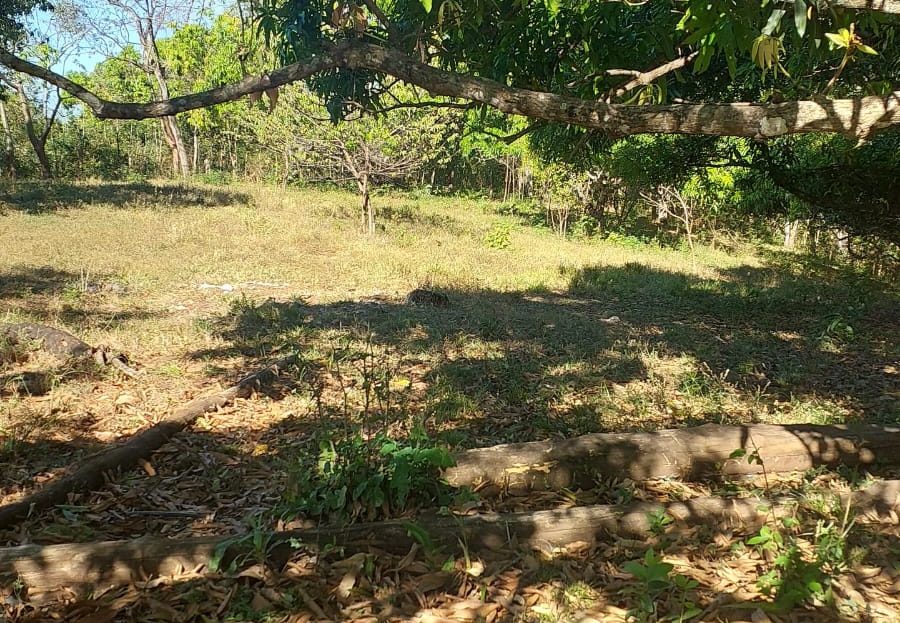 Garabito For Sale 24636 | RE/MAX Costa Rica Real Estate