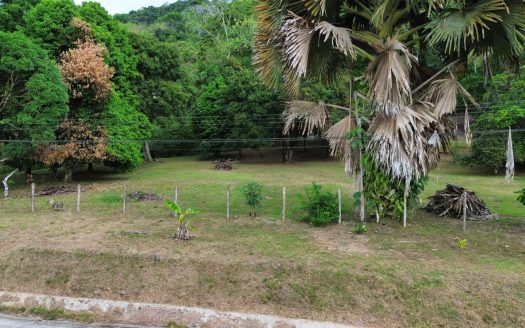 Strategic Investment in Purruja: 45 Acres with Ocean Views