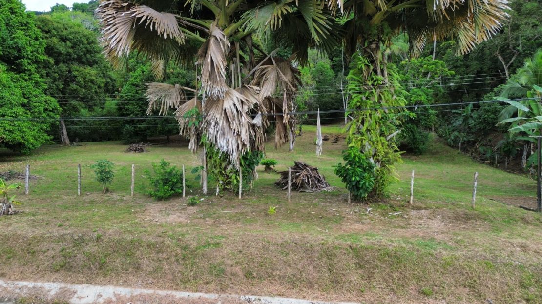 Golfito>Golfito Real Estate Listings 30706