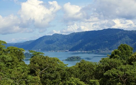 Golfito>Golfito Real Estate Listings 30887