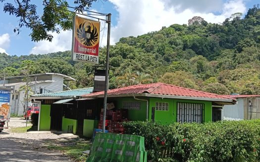 Golfito>Golfito Real Estate Listings 30943