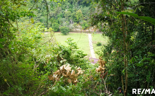 Las Viquillas Serenity, Natural Beauty