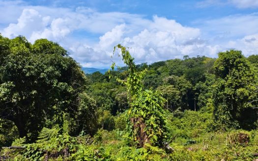 187,508 m² Land for Sale in Llano Bonito, Golfito, Puntarenas | Development Land with Water