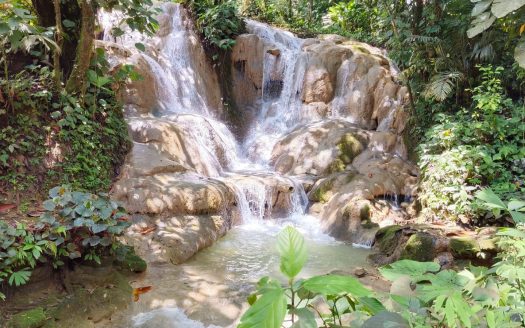 Golfito>Guaycará Real Estate Listings 29342