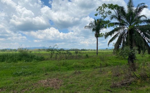 Golfito>Guaycará Real Estate Listings 30277