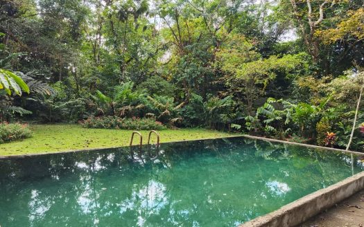 Farm for Sale in Llano Bonito, Golfito Puntarenas | 165 Hectares (Approx.) Near Río Claro