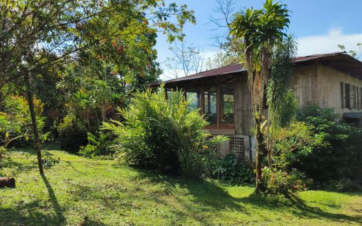 Golfito>Guaycará Real Estate Listings 30974