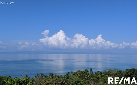 Golfito>Pavones Real Estate Listings 21675