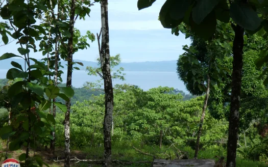 Golfito>Pavones Real Estate Listings 23575