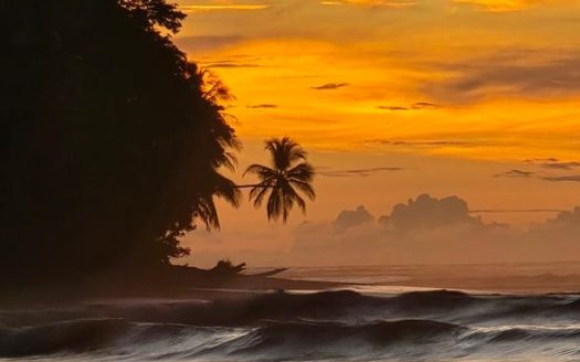 Golfito>Pavones Real Estate Listings 24813