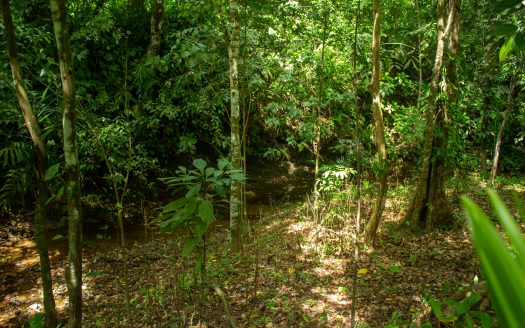 Pilón Surf Escape: Home 5 minutes from the Break. Only $80K