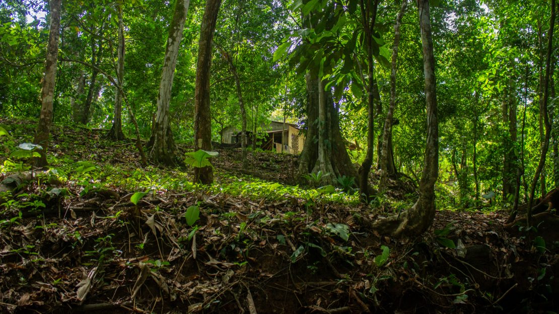 Golfito>Pavones Real Estate Listings 30159