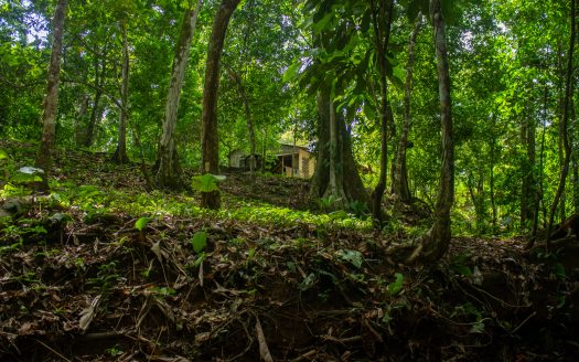 Golfito>Pavones Real Estate Listings 30159