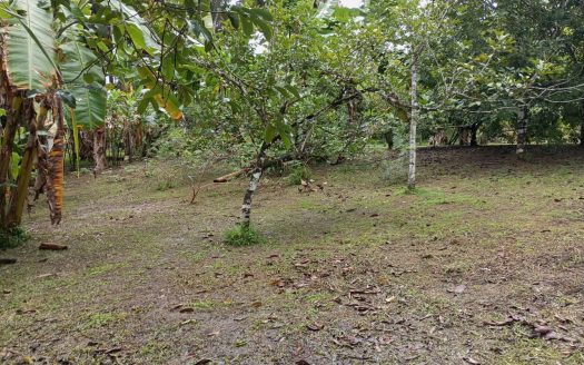 Lot for Sale in Pavones de Golfito – Only 15 Minutes from Pavones Beach