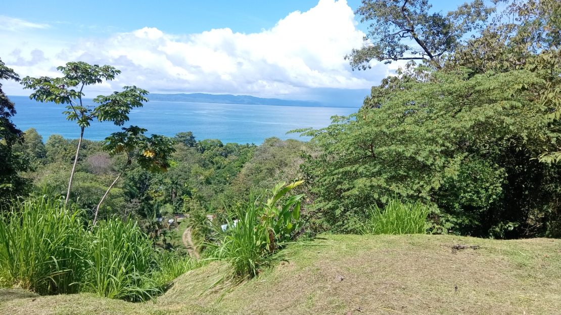 Golfito>Pavones Real Estate Listings 30574