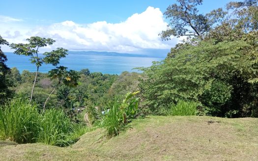 Golfito>Pavones Real Estate Listings 30574