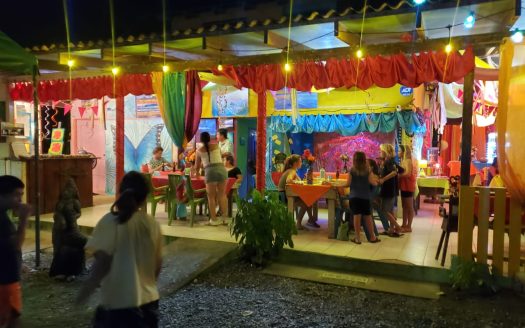 Golfito>Pavones Real Estate Listings 30859