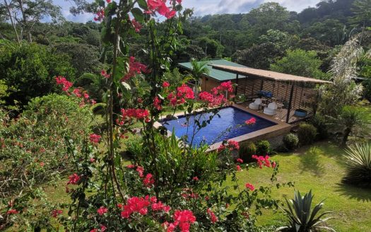 Golfito>Pilón Real Estate Listings 30615