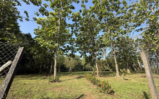 Golfito>Rio Claro de Pavones Real Estate Listings 27912