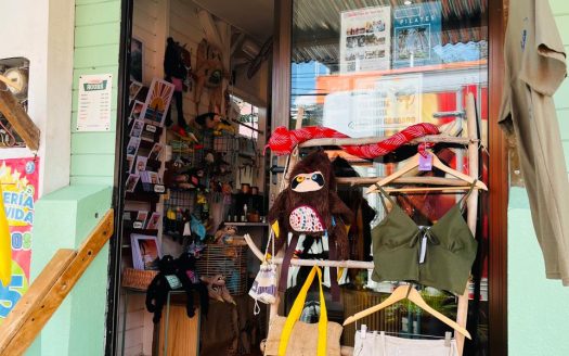 Handcrafted Souvenirs Boutique