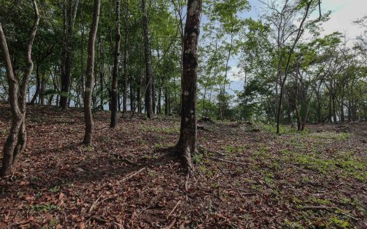 Hidden Ridge A9 – Guanavista