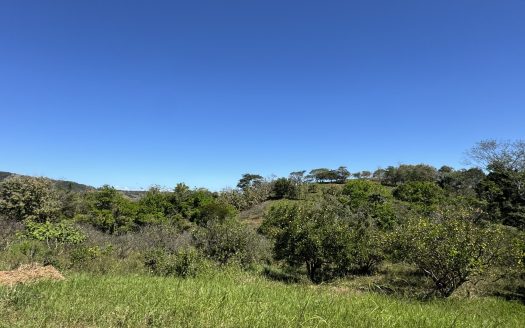 Hojancha Preciosa – 5 amazing lots in Costa Rica