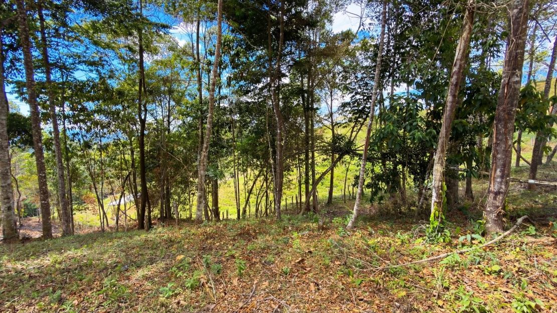 Costa Rica Real Estate