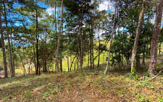 For Sale: Beautiful Mountain 706m2 Residential Lot in Quebradas – CR