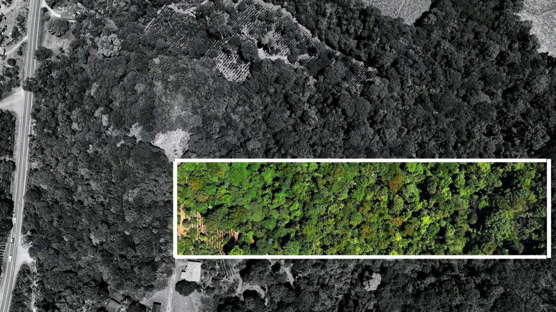 Costa Rica Real Estate