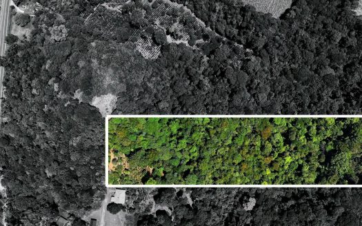 10,000 m² Lot for Sale with Nature and Tranquility in Cajón, Pérez Zeledón: A Private Forest Retreat.