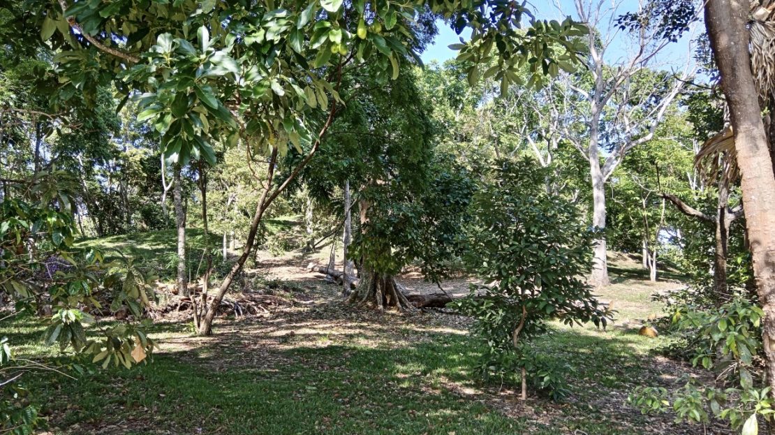 Costa Rica Real Estate