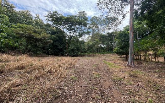 New premier lots in the private community of Las Rocas