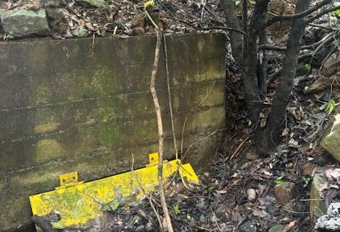 6 Hectares (15 acres) with home and plenty of water