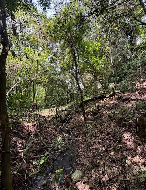 6 Hectares (15 acres) with home and plenty of water