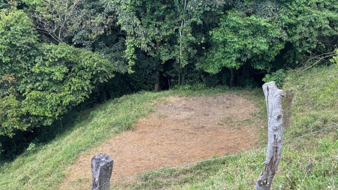 000m2 farm (7.5 acres) located 10 minutes from town with amazing Pacific views.