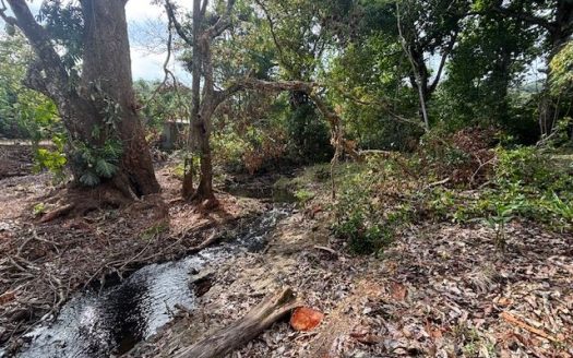 Picturesque property is located in the ideal residential setting